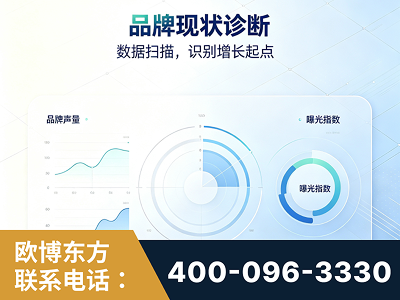 沅江-品牌现状诊断