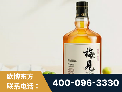 沅江-梅见青梅酒